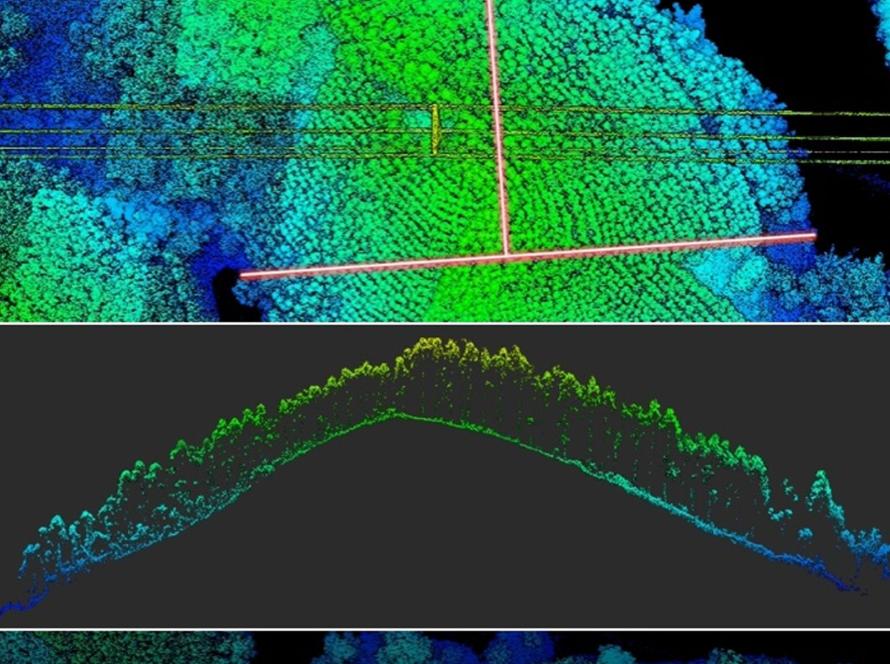 Inventario Forestal con Dron LiDAR y Biomasa