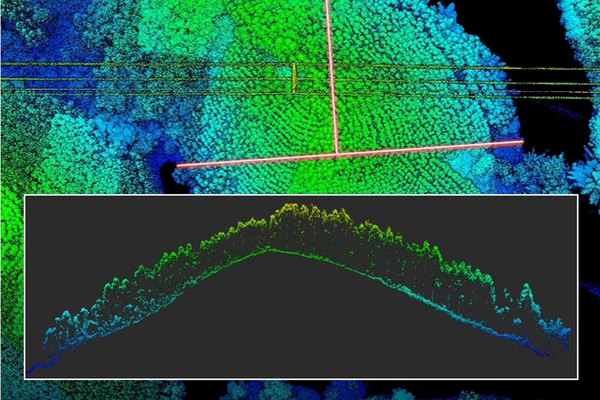 Planificación de Cosechas Inteligente: Inventario Forestal con Dron LiDAR y Biomasa